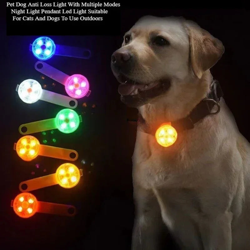 Rechargeable Multi-Mode Pet Anti-Loss LED Night Light Pendant for Outdoor Dogs Cats Collar Safety Accessories