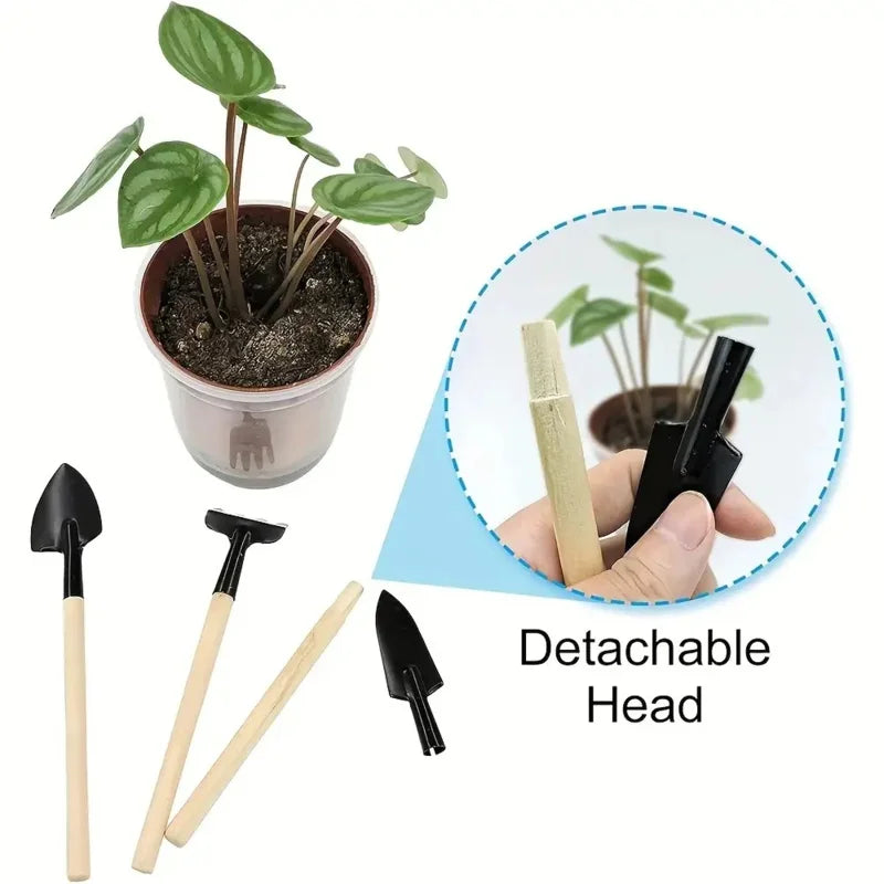 3pcs Gardening Tools, Including a Flower Rake Filled with Vegetable Seeds, a Spade for Succulents, And Potting Supplies for Plan