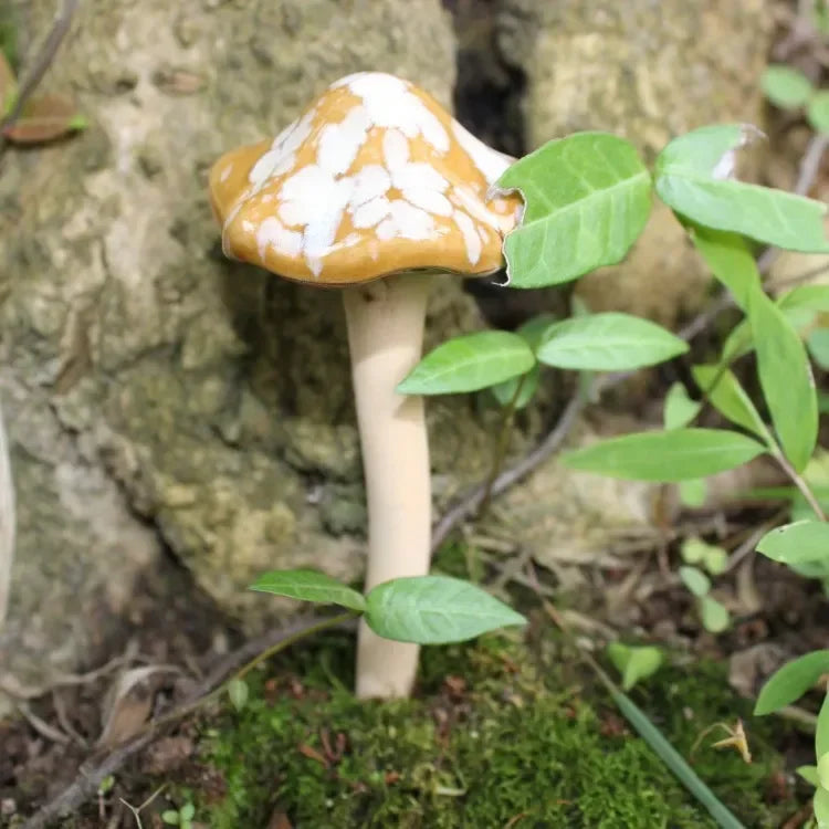 4 ceramic crafts, fleshy flower pot decoration, exposed mushroom garden decoration