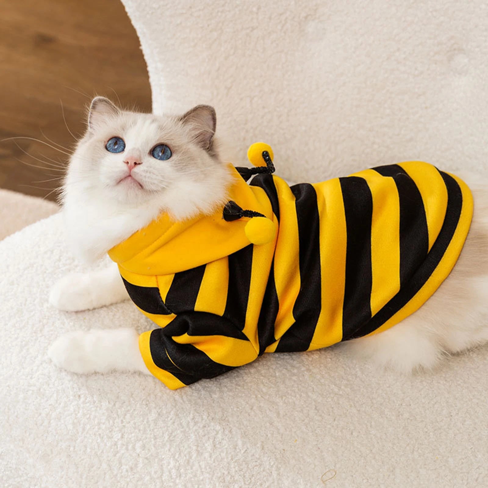 Cats Costume Pet Bee Halloween Costume Small Pets Apparel Fashion Adorable Cats Hoodies