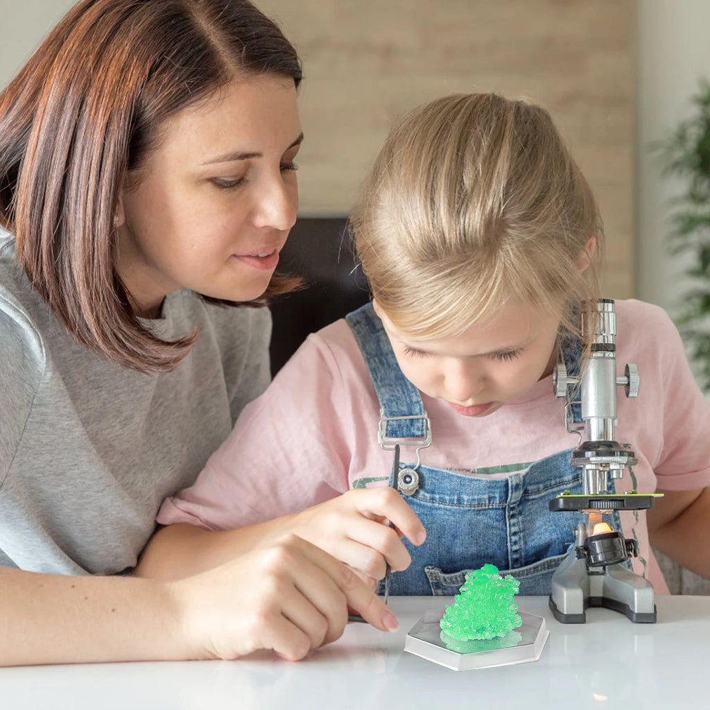 Crystal planting DIY scientific experiment set, fun parent-child communication, chemical experiment, crystallization principle