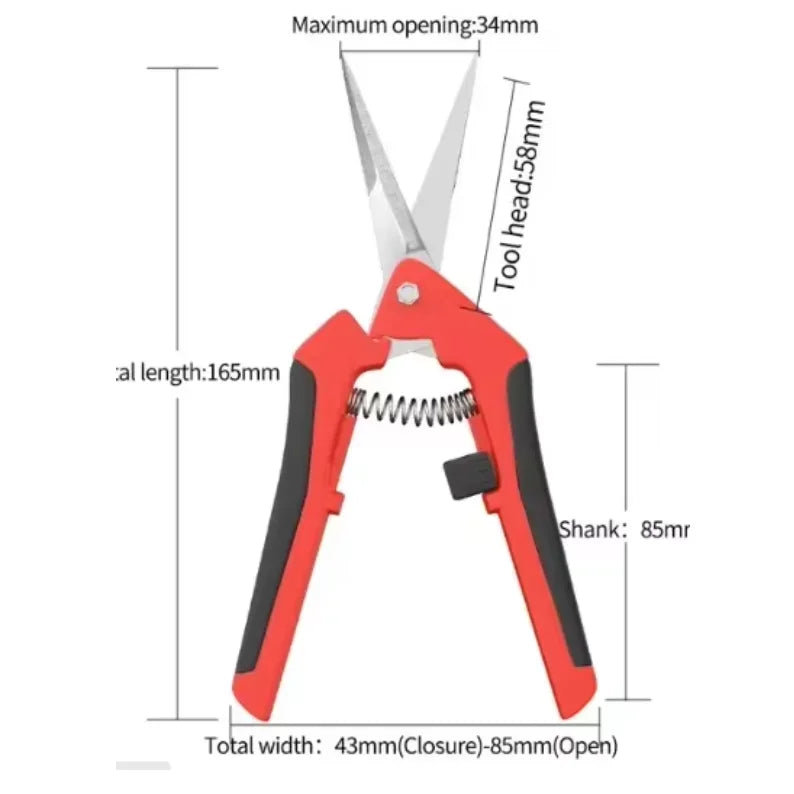Garden Stainless Steel Flower Scissors Pruning Fruit Pruning Grape Pruning Straight Head Gardening Scissors Pruning Flowers