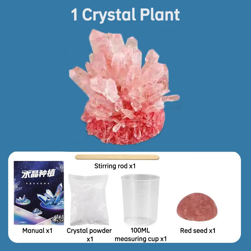 Crystal Planting Diy Scientific Experiment Set Fun, Parent-Child Communication On Chemical Crystallization Principles