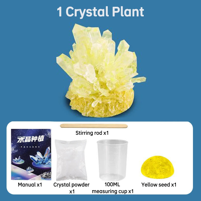 Crystal Planting Diy Scientific Experiment Set Fun, Parent-Child Communication On Chemical Crystallization Principles