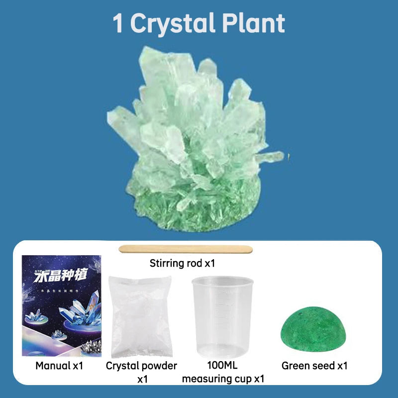 Crystal Planting Diy Scientific Experiment Set Fun, Parent-Child Communication On Chemical Crystallization Principles