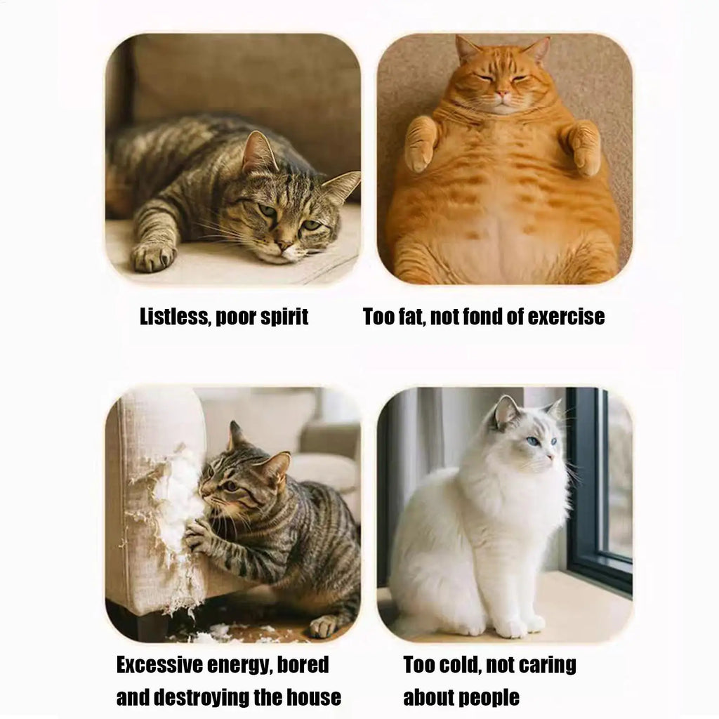 Cat Enrichment Toys Interactive Cat Toy Puzzle Games Felt Pet Supplies with Bell Kitten Accessories Maze Game for Enrichment