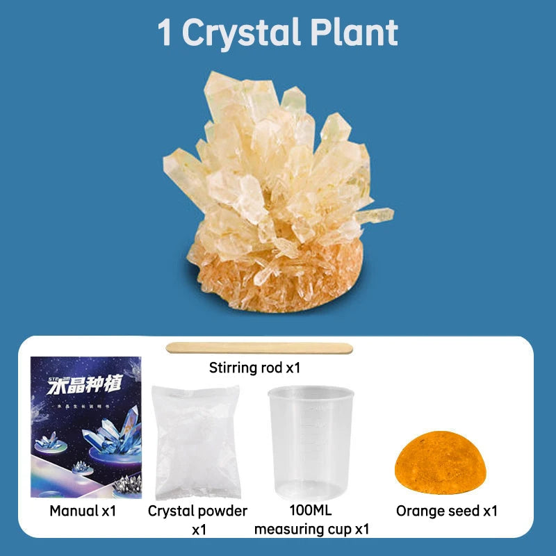 Crystal Planting Diy Scientific Experiment Set Fun, Parent-Child Communication On Chemical Crystallization Principles