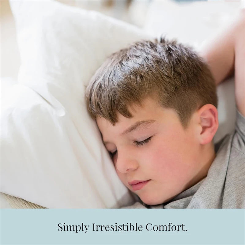 Luxury White Cushion Core Natural Goose Feather & Down Filling Soft Head Pillow Inner Customized Size Hotel Home Decor Pillows